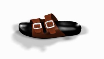 a sandal