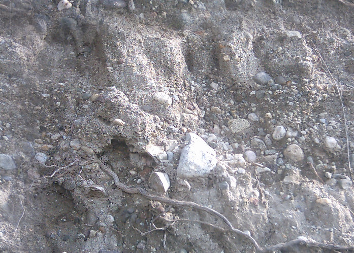 Dirt01