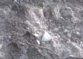 Dirt01