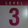 Level3