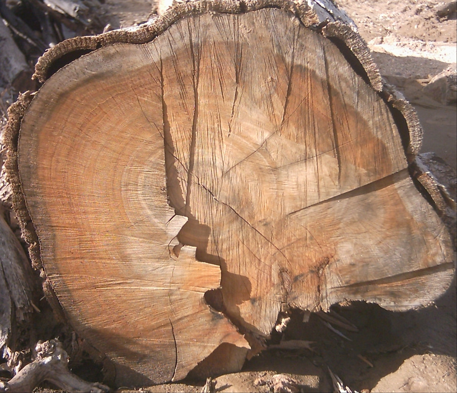 LogEnd_01