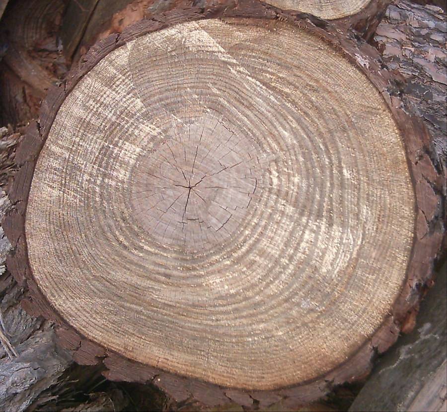 LogEnd_03