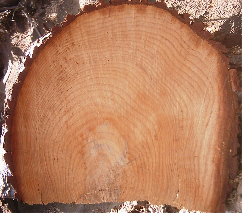 LogEnd_04