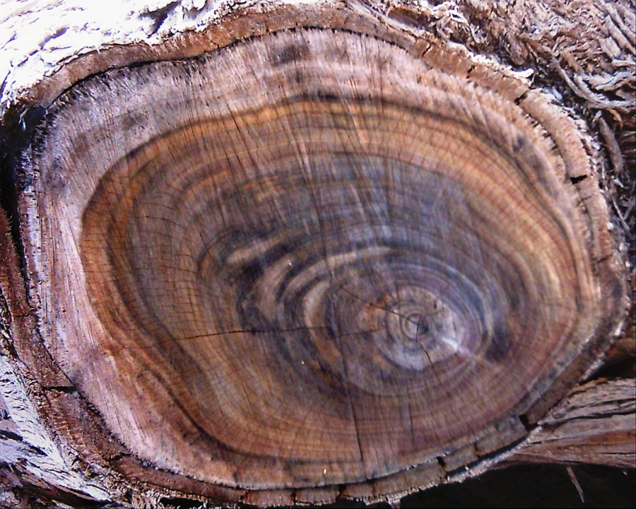 LogEnd_07