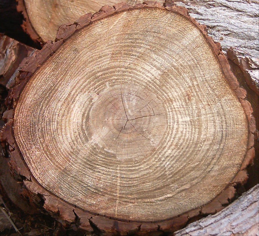 LogEnd_09