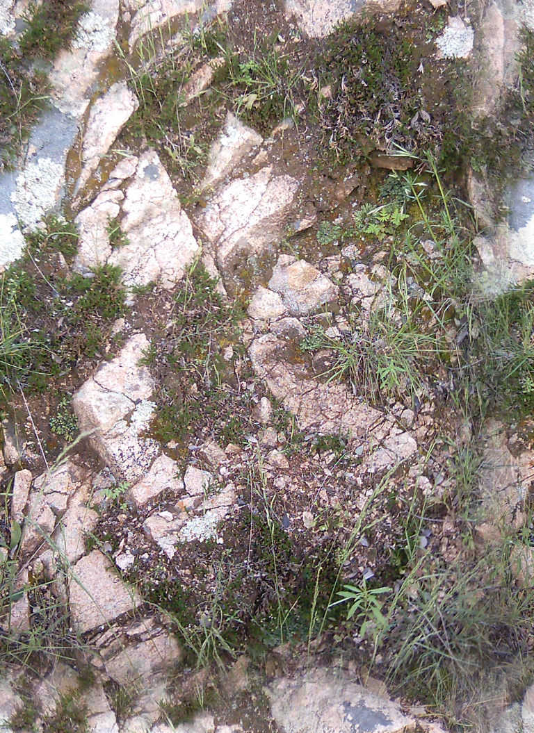 LotsOfRocks23_seamless