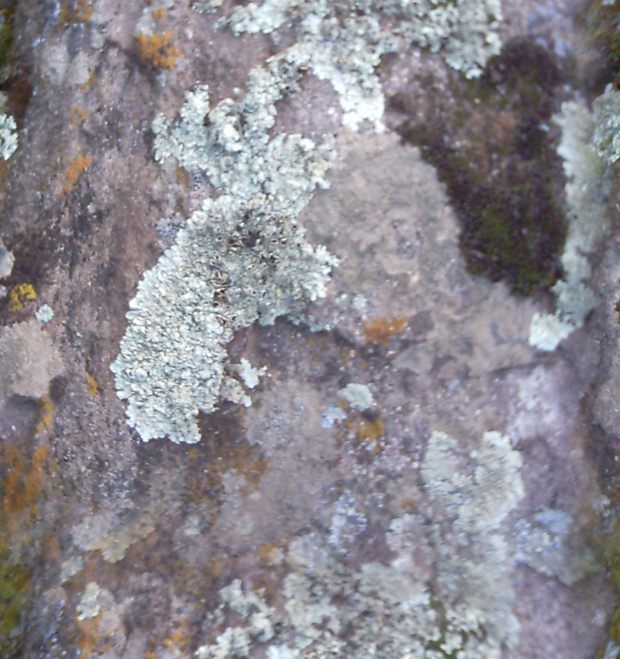 LotsOfRocks25_seamless