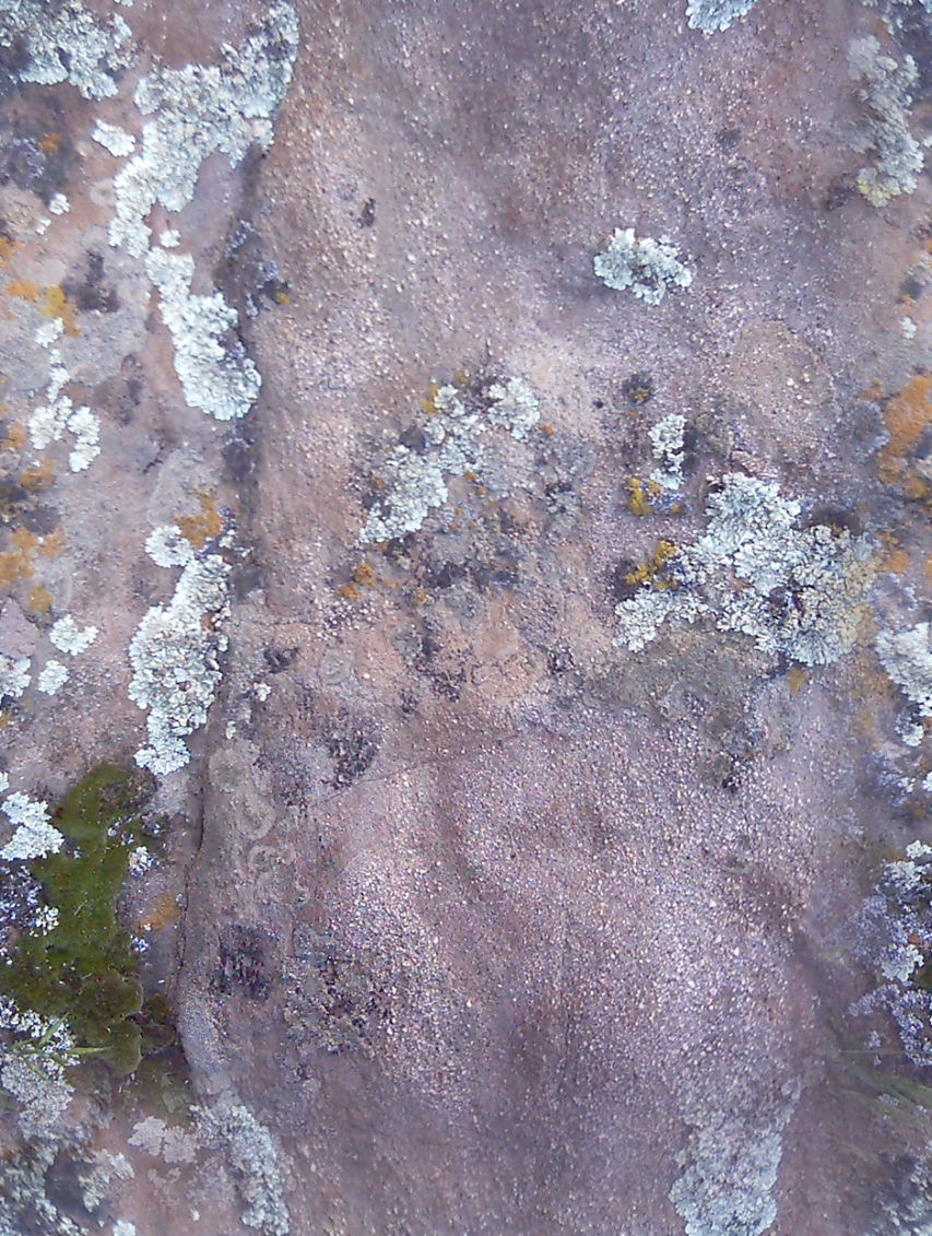 LotsOfRocks26_seamless