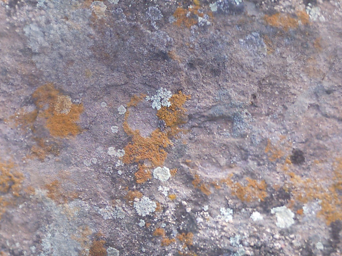 LotsOfRocks31_seamless