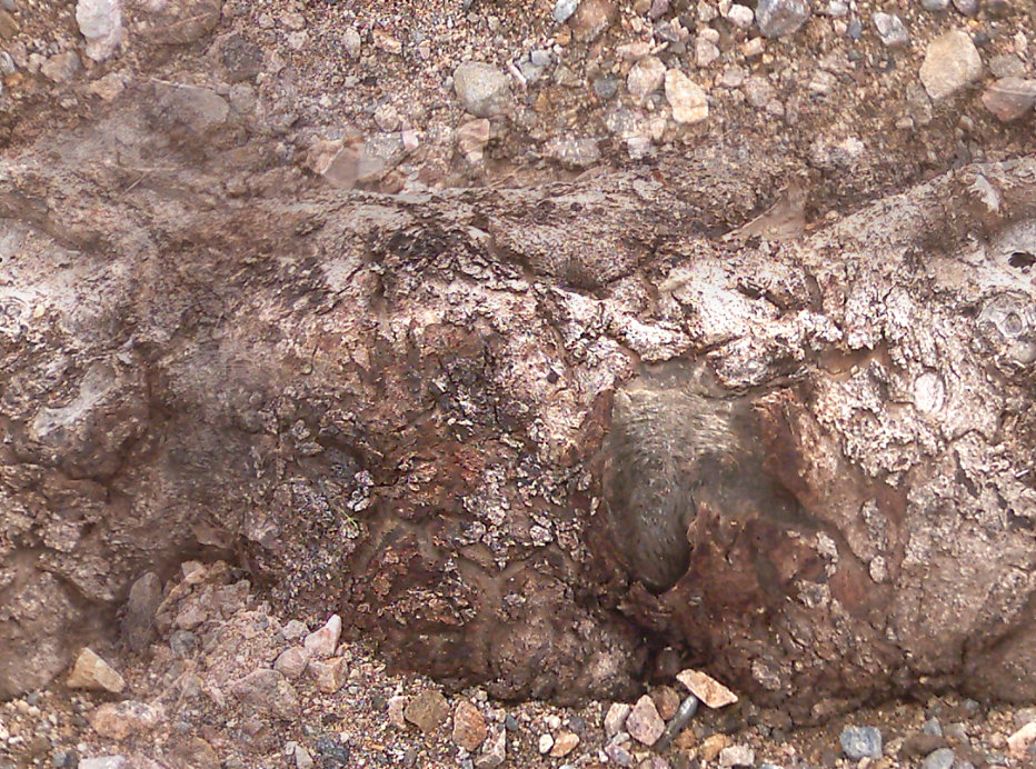 LotsOfRocks33_seamless