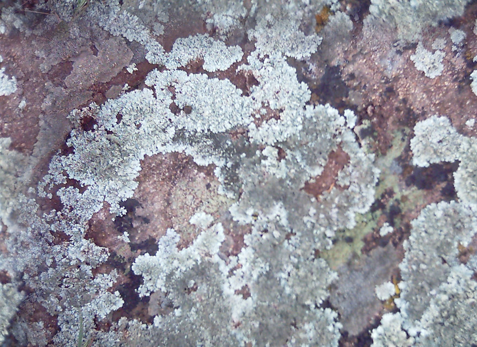 LotsOfRocks34_seamless