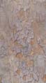 BasicBark_01_Seamless