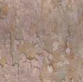 BasicBark_02_Seamless