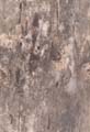 BasicBark_08_Seamless