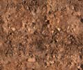 ChoppyTerrain