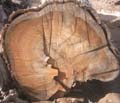 LogEnd_01