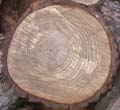 LogEnd_03