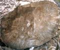 LogEnd_05