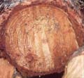 LogEnd_06