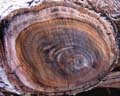 LogEnd_07