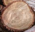 LogEnd_09