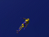 3impact - a very cool game engine!
