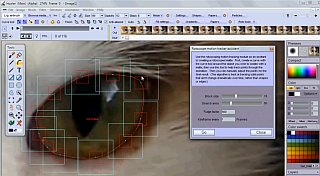 Rotoscoping a
                                                  cat's eye, tracking a
                                                  matte to change the
                                                  eye's color
