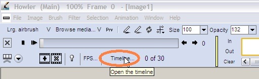 accessing the timeline from
                        the animation control bar