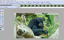 rotoscoping simplified through
                            temporary stabilization
