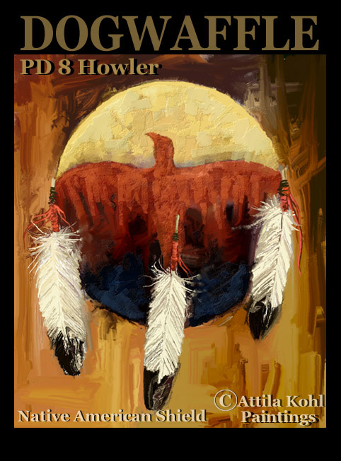 native american shield