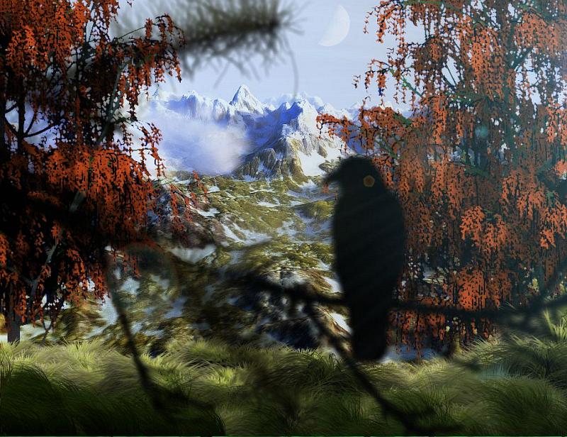 background landscapes, foreground
                              trees and raven