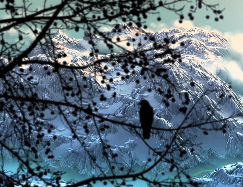 yet another raven , and another
                              winter landscape