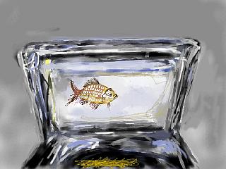 goldfish by Hannes Wiesendanger