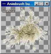 stored animbrush