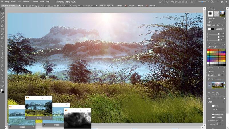 paint particle foliage brushes, 3D from elevation maps, visual effects, animation, video tools